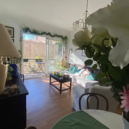 Apartment Gaia - A Haven Of Peace In The Centre Roof Terace And Parking *
